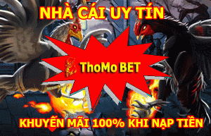 thomobet