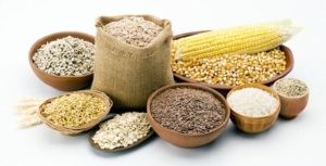 trộn thức ăn cho gà đá