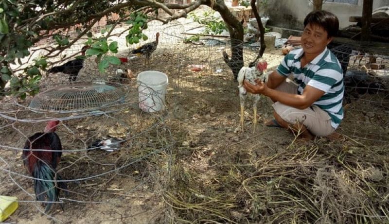 cách làm cho gà tre dạn