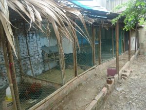 làm chuồng gà bằng tre