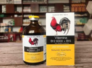 Cách vô mồi cho gà đá