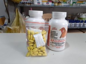 Thuốc cho gà đá Gallomin