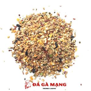 ngũ cốc cho gà đá