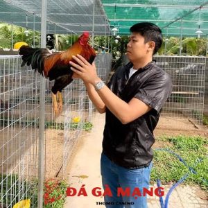 trại gà Hưng Cần Thơ